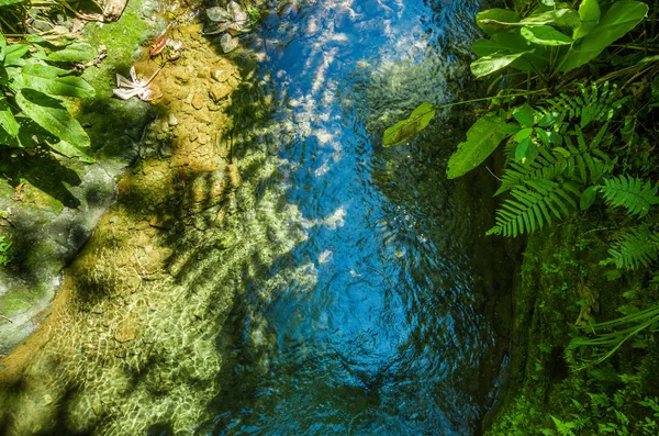 Mindo で川の石と緑の森の中の自然の池の上から見る — ストック写真