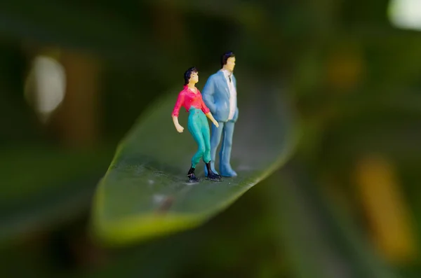 Miniatyr småfolket par på utomhus, över ett blad i en suddig bakgrund — Stockfoto
