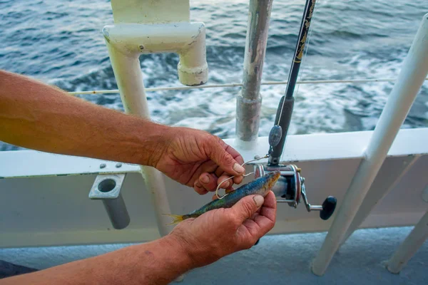 Крупным планом человек держит рыбную наживку с маленькой рыбкой, в летний день отпуска в Форт-Лодердейле, Флорида — стоковое фото