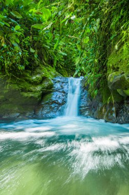 Min'in nehirde içinde taş olan yeşil bir orman içinde bulunan güzel küçük şelale
