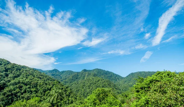 Piękny krajobraz lasu w Mindo w przepiękny niebieski niebo — Zdjęcie stockowe