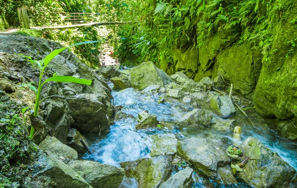 美丽的河，在绿色的森林与求生在河里的石头 — 图库照片