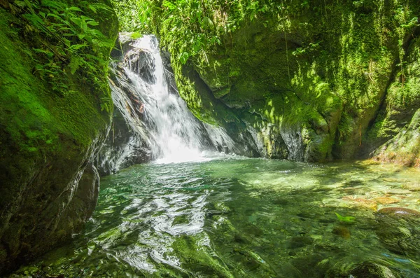 Красиві невеликий водоспад, який знаходиться всередині зеленим лісом з камінням в річці, в місті Mindo — стокове фото