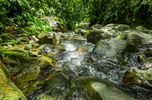 Mindo で川の石と緑の森の中を流れる美しい川 — ストック写真