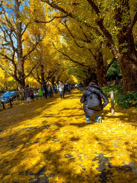Нара, Японія - 26 липня 2017: Невідомі люди фотографувати і насолоджуючись панорамами красиві осінні краєвид, жовтий осінні дерева та листя, барвисті листя в Осінній Парк в Kyoto — стокове фото