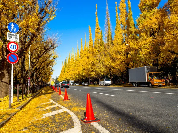 Нара, Японія - 26 липня 2017: Гарний вигляд осінній пейзаж з деякими автомобілі, припарковані, з жовтим осінні дерева і листя, барвисті листя в Осінній Парк в Kyoto — стокове фото