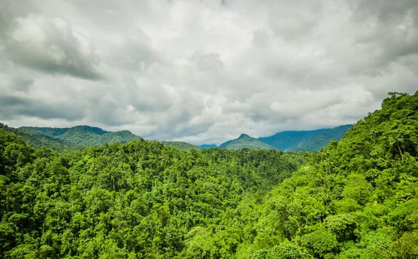 Min'in, muhteşem bulutlu gökyüzü ormandaki güzel manzara