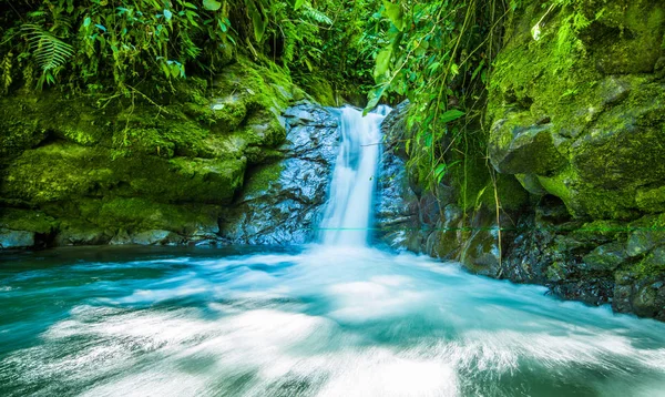 Prachtige kleine waterval, gelegen binnen een groen bos met stenen in de rivier bij Mindo — Stockfoto