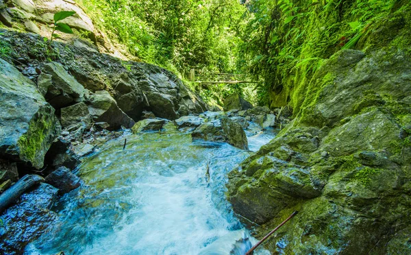Mindo で川の石と緑の森の中の美しい川 — ストック写真
