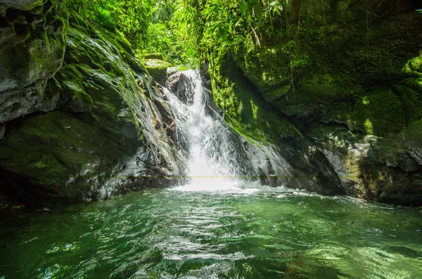 Красиві невеликий водоспад, який знаходиться всередині зеленим лісом з камінням в річці, в місті Mindo — стокове фото