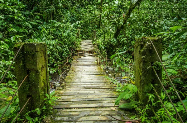 Mooie houten brug in heuvel regenwoud met vocht plant, gelegen in Mindo — Stockfoto