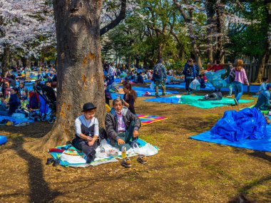 Tokyo, Japonya - 24 Ağustos 2017: Kiraz çiçekleri Festivali Ueno Park zevk insanlar kalabalık