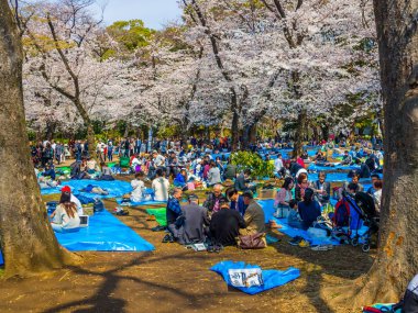 Tokyo, Japonya - 24 Ağustos 2017: Kiraz çiçekleri Festivali Ueno Park zevk insanlar kalabalık