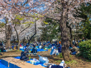 Hakone, Japonya - 02 Temmuz 2017: bir parkta oturan ve hanami Park kiraz çiçeği sezonunda Kyoto'da manzarayı tanımlanamayan kişi