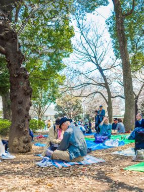 Hakone, Japonya - 02 Temmuz 2017: bir parkta oturan ve hanami Park kiraz çiçeği sezonunda Kyoto'da manzarayı tanımlanamayan kişi