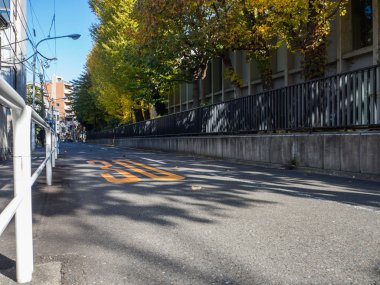 Nara, Japonya - 26 Temmuz 2017: Yolda, sarı sonbahar ağaç ve yaprak, Kyoto, sonbahar parkta renkli yeşillik sonbahar manzara güzel manzarasına