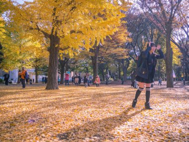 Nara, Japonya - 26 Temmuz 2017: fotoğraf çekmek ve sonbahar park Kyoto adlı renkli yaprakları manzarayı güzel sonbahar manzara, sarı sonbahar ağaçlar ve yaprakları, kimliği belirsiz kişi