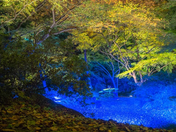 Hermosa vista del paisaje de otoño con árboles y hojas amarillas de otoño, follaje colorido en el parque de otoño en Kyoto, por la noche —  Fotos de Stock