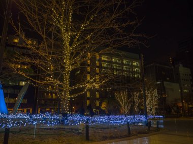 Nara, Japonya - 26 Temmuz 2017: Noel lighs Tokyo şehir ile bazı ağaçları ile yolun güzel manzarasına