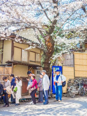 Hakone, Japonya - 02 Temmuz 2017: bir parkta yürüyüş ve hanami Park kiraz çiçeği sezonunda Kyoto'da manzarayı tanımlanamayan kişi