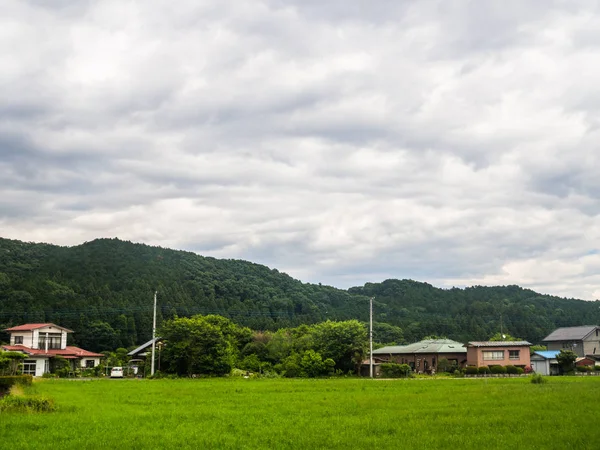 잔디와의 일본 쌀 필드 근처 호에서 일부 주택 토지의 아름 다운 보기 — 스톡 사진
