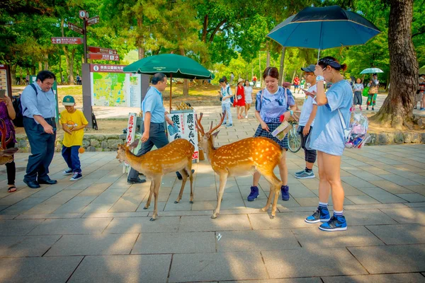 Nara, Japón - 26 de julio de 2017: Mujeres no identificadas disfrutando de un grupo de ciervos salvajes en Nara, Japón. Nara es un importante destino turístico en Japón - antigua ciudad habitante y actualmente Patrimonio de la Humanidad por la UNESCO — Foto de Stock