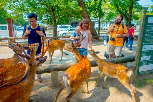 Nara, Japonya - 26 Temmuz 2017: vahşi bir geyik Nara, Japonya dokunmadan kimliği belirsiz bir kadın. Nara büyük turizm yer Japonya - eski düşen şehir ve şu anda UNESCO Dünya Miras Listesi