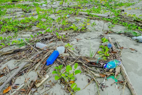 Муазне, Экуадор - 06 мая 2017 года: Загрязнение пляжа гарваром и мусором на пляже наносит ущерб окружающей среде на острове Муйсна в Эквадоре — стоковое фото
