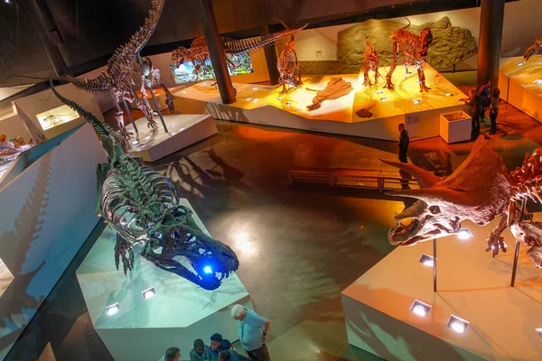 HOUSTON, États-Unis - 12 JANVIER 2017 : Des personnes non identifiées se promènent autour de l'exposition de dinosaures fossiles au Musée national des sciences naturelles d'Orlando Houston, aux États-Unis, sur fond noir — Photo