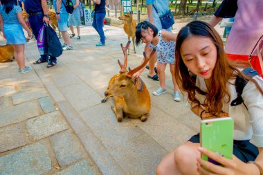 Nara, Japonya - 26 Temmuz 2017: kimliği belirsiz kadının vahşi bir geyik Nara, Japonya'nın bir selfie alarak yakın çekim. Nara, Japonya - eski düşen şehir ve şu anda Unesco Dünya bir büyük turizm yer 