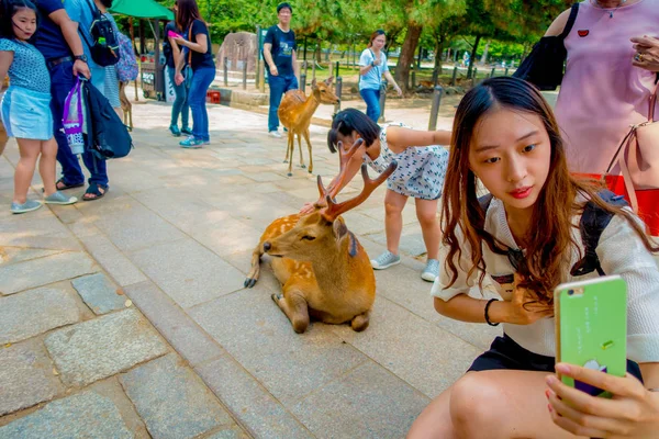 stock image Nara, Japan - July 26, 2017: Close up of unidentified woman taking a selfie of a wild deer in Nara, Japan. Nara is a major tourism destination in Japan - former capita city and currently UNESCO World 