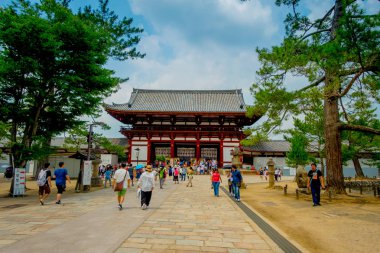 Nara, Japonya - 26 Temmuz 2017: Nandaimon, gece büyük güney kapısında. Kapıyı bir baskın mimari alanda Todai-ji Tapınağı, Nara öğedir