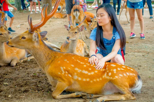 Nara, Japonya - 26 Temmuz 2017: genç kadın güzel vahşi geyik Nara, Japonya dokunmadan. Nara büyük turizm yer Japonya - eski düşen şehir ve şu anda UNESCO Dünya Miras Listesi