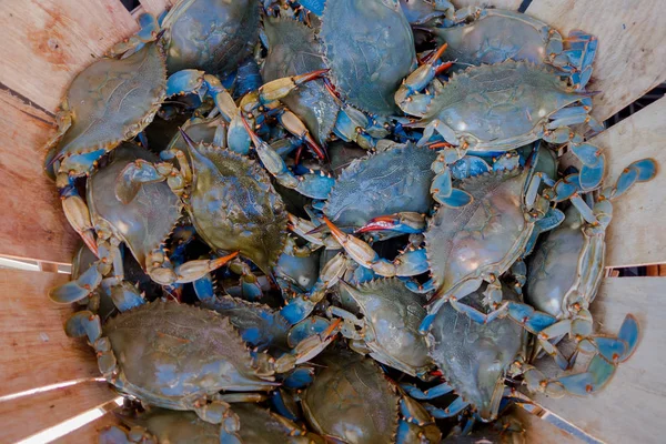 A sidewalk produce stand in China Town, close up of a wooden basket with a dozens of crabs in New York City. Chinatown is home to the largest amount of Chinese people in the Western hemisphere