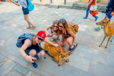 Nara, Japonya - 26 Temmuz 2017: kimliği belirsiz kadın vahşi bir geyik Nara, Japonya'nın bir selfie alarak, yakın çekim. Nara, Japonya - eski düşen şehir ve şu anda Unesco Dünya bir büyük turizm yer 