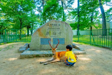 Nara, Japonya - 26 Temmuz 2017: tanımlanamayan çocuk bir sarı t-gömlek, loiking vahşi bir geyik Nara, Japonya. Nara büyük Turizm Japonya yer