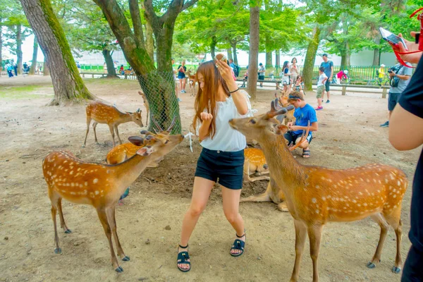 Nara, Japonya - 26 Temmuz 2017: Ziyaretçiler: Nara, Japan vahşi geyik besleme. Nara büyük turizm yer Japonya - eski düşen şehir ve şu anda UNESCO Dünya Miras Listesi