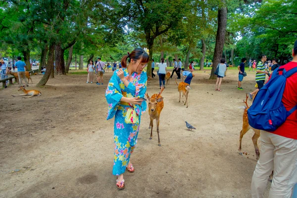 Nara, Japonya - 26 Temmuz 2017: Nara, Japonya'nın vahşi geyikler kimliği belirsiz insanlarla. Nara büyük turizm yer Japonya - eski düşen şehir ve şu anda UNESCO Dünya Miras Listesi