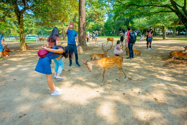 Nara, Japonsko - 26 července 2017: Neidentifikovaná žena nosí šaty jean, hrál s nějakou jeleni v Nara, Japonsko. Nara je významnou turistickou destinací v Japonsku — Stock fotografie