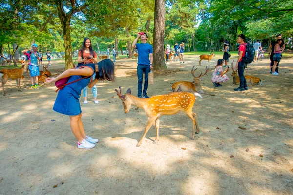 Nara, Japonya - 26 Temmuz 2017: bazı vahşi geyik Nara, Japonya ile oynarken bir jean elbiseyle kimliği belirsiz bir kadın. Nara büyük Turizm Japonya yer