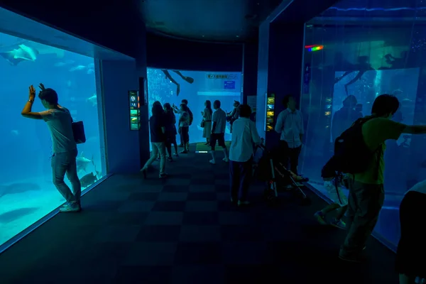 Osaka, japan - 18. Juli 2017: Unbekannte fotografieren und genießen Meerestiere im Osaka-Aquarium kaiyukan in osaka, japan — Stockfoto