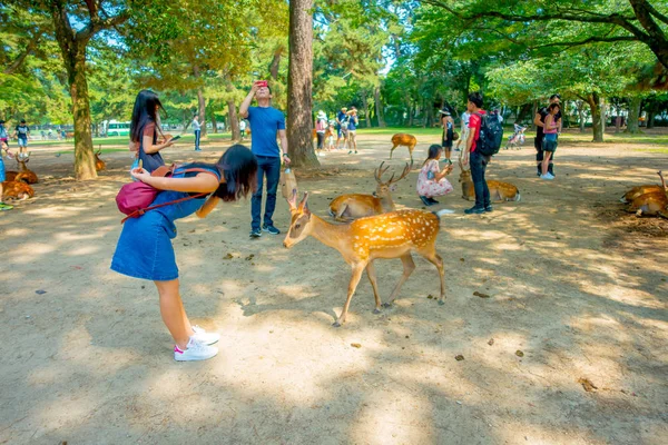 Nara, Japonya - 26 Temmuz 2017: bazı vahşi geyik Nara, Japonya ile oynarken bir jean elbiseyle kimliği belirsiz bir kadın. Nara büyük Turizm Japonya yer