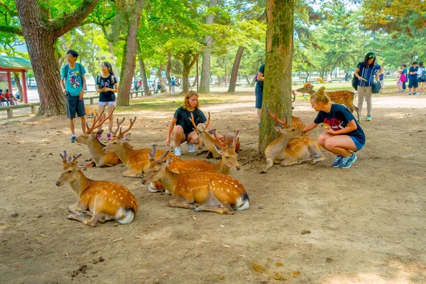 Nara, Japan - July 26, 2017: Unidentified people touching wild deers in Nara, Japan. Nara is a major tourism destination in Japan — Stock Photo, Image