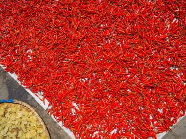 Vietnamca insanlar Hoian Vietnam kaldırım üzerinde güneşin kırmızı chilippers Kuru