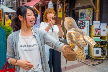 Tokyo, Japonya Haziran 28-2017: güzel baykuş poz bitti kadın bilek Akihabara baykuş Cafe - sokakta baykuşlar Japonya'da çok popüler evcil hayvan