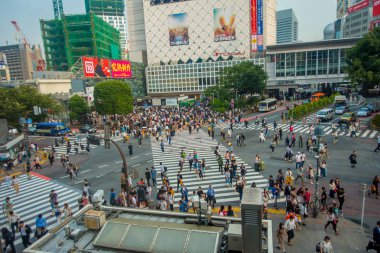 Tokyo, Japonya Haziran 28-2017: Top Shibuya sokak, Tokyo Ginza bölgesinde dünyanın en yoğun crosswalks geçiş Kişilik kalabalık görünümünü