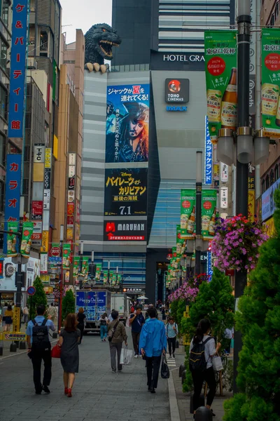 东京，日本 6 月 28-2017年： 人群的人在散步，享受美丽的著名歌舞伎町红灯区，周围的高楼大厦和广告，设在日本东京 — 图库照片