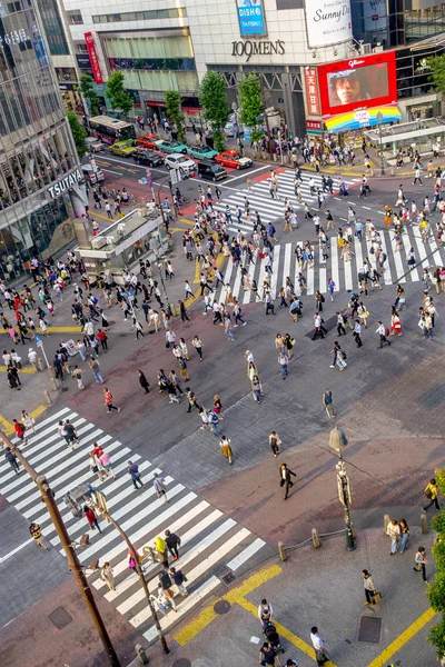 Tokyo, Japan juni 28-2017: Top view av skara människor som passerar i Shibuya street, en av de mest trafikerade crosswalks i världen, i stadsdelen Ginza i Tokyo — Stockfoto