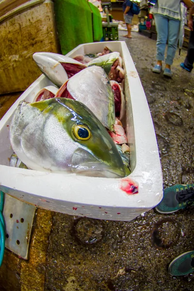 TOKIO, JAPÓN 28 DE JUNIO - 2017: Pescado dentro de una caja blanca y mariscos en venta en el Mercado de Pescados Tsukiji al por mayor en Tokio Japón, el Mercado de Tsukiji es el mayor mercado de pescados y mariscos al por mayor en — Foto de Stock