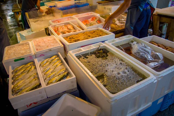 TOKYO, JAPON 28 JUIN 2017 : Fruits de mer à vendre à l'intérieur de boîtes blanches avec de l'eau au marché de poisson Tsukiji en gros à Tokyo Japon, le marché de Tsukiji est le plus grand marché de gros de poissons et fruits de mer au Japon — Photo